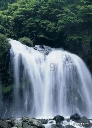 大家应该如何解决拖延症呢?-一站式知识问答网页
