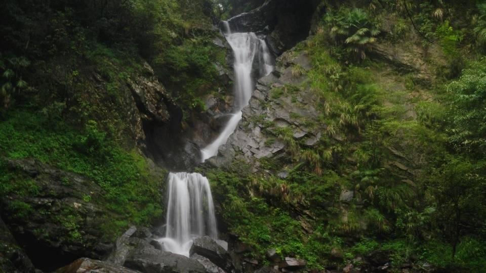 沪江开心词场